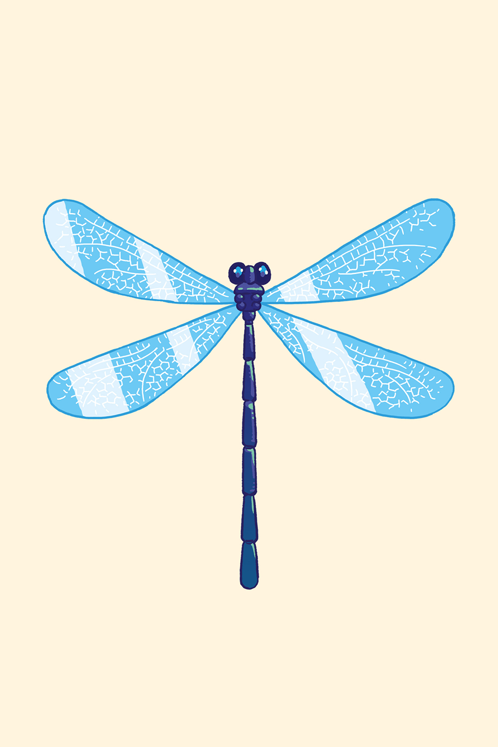 MQ Libelle 08